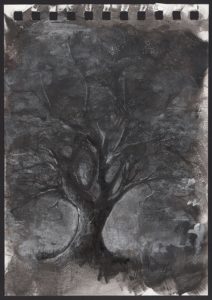 Black tree study - Riccardo Martinelli - 2016
