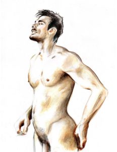 Riccardo Martinelli - Nudo maschile (Ecoline e matite 35x50) 2012
