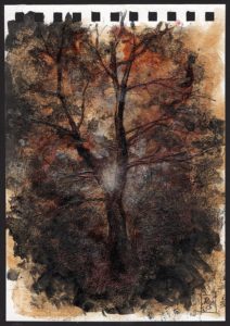 Gloden tree study - Riccardo Martinelli - 2015