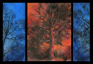 Red and blu tree study - Riccardo Martinelli - 2016