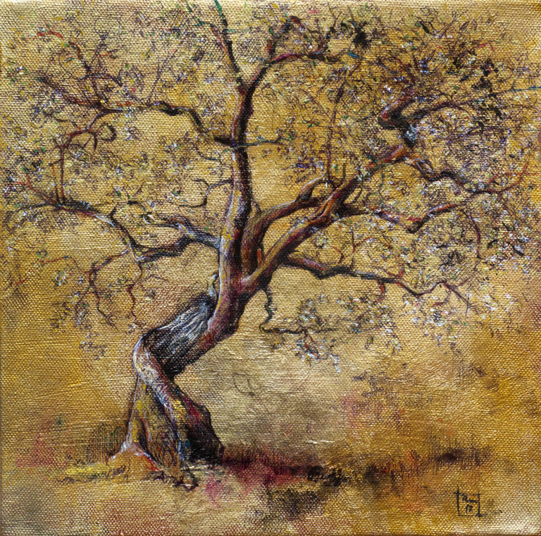 L'ulivo rosso / The red olive tree - Acrilico su tela / Acrylic on canvas (25x25 cm.).  Autore/author: Riccardo Martinelli - 2017