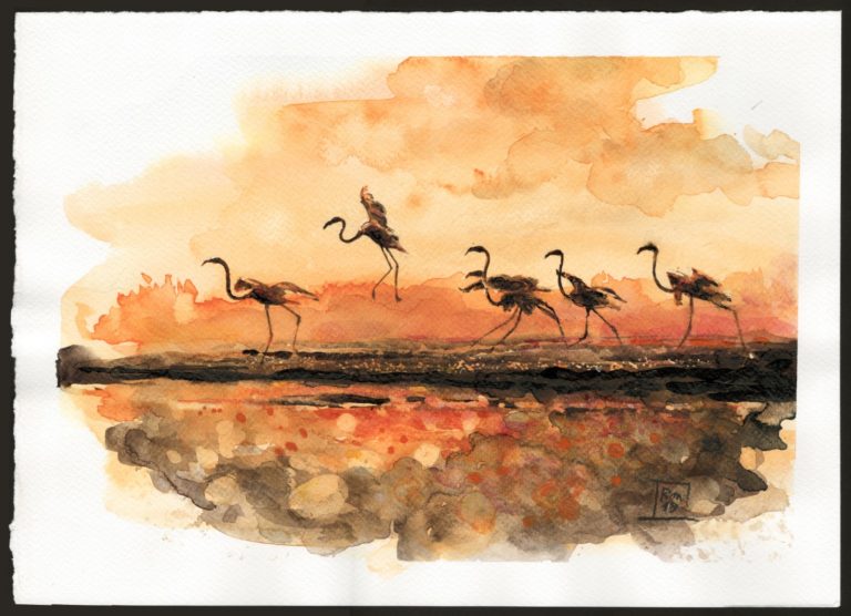 Fenicotteri - acquerello su carta /Flamingos - watercolor on paper 25x35 cm.