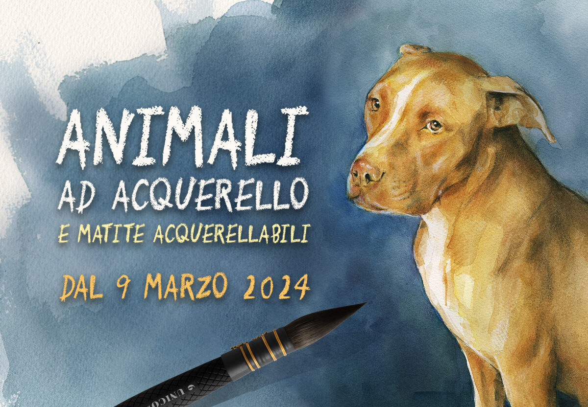 Animali ad Acquerello e matite acquerellabili (2024)
